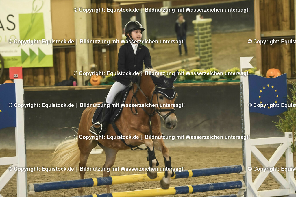 20231029_07_Stilspring-WB-50cm_0063 | Foto: Thomas Hartig