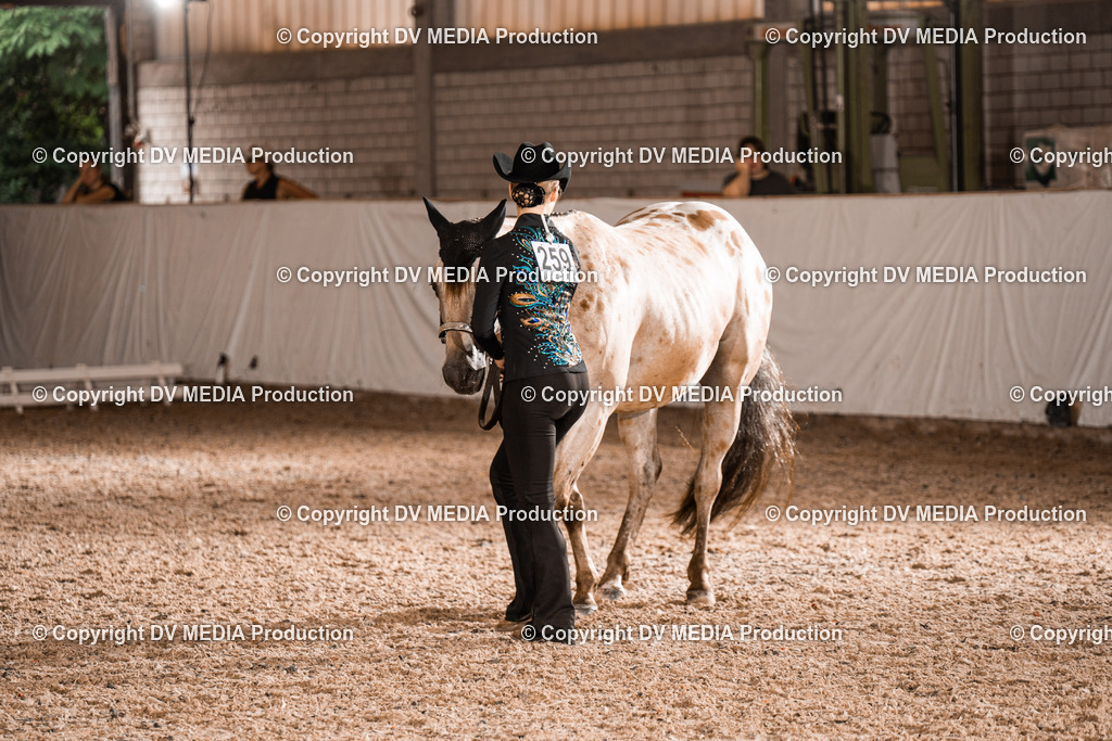 ZH200225 | dv-media-shop - Realisiert mit Pictrs.com