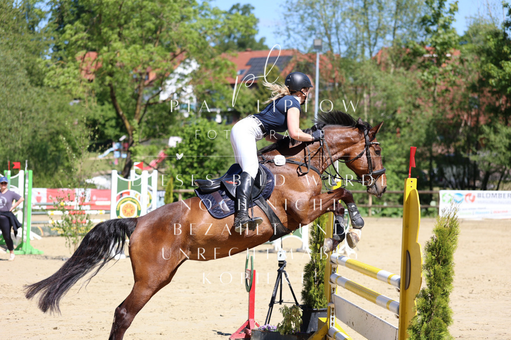 IMGS7506 | pl-fotografie