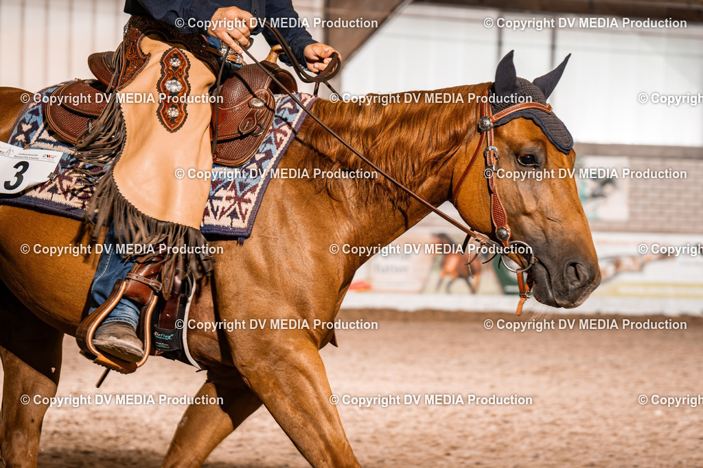 ZH300232 | dv-media-shop - Realisiert mit Pictrs.com