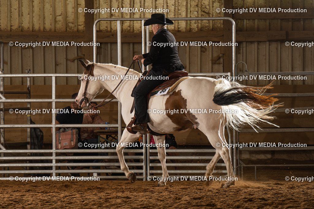 NID01705 | dv-media-shop - Realisiert mit Pictrs.com