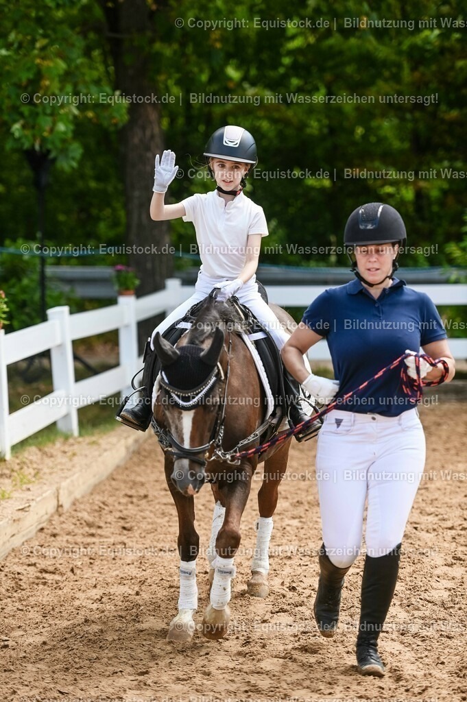 20230716_11_Führzügel-WB_0212 | equistock