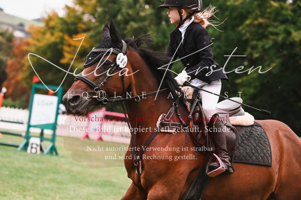 DSC_6284 | Pferde- und Turnierfotografie in Westsachsen. Pferdeportraits, Auftragszeichnungen und intuitive Kunst.