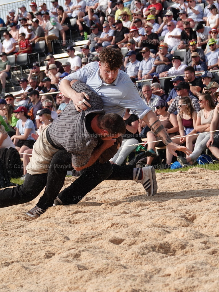 DSC06896 | Schwingen - Realisiert mit Pictrs.com