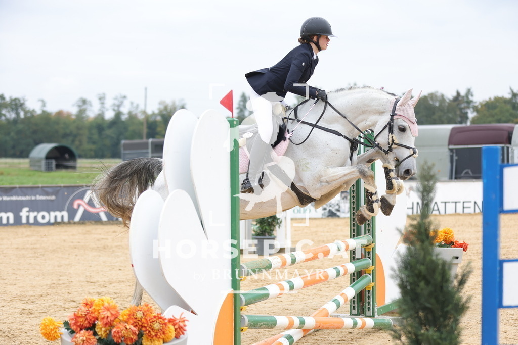 0P6A2357 | Willkommen bei Brunnmayr - Design & Fotografie – Ihrem Spezialisten für Reitturniere und Pferdeveranstaltungen in Oberösterreich, Salzburg und Bayern! Seit über 17 Jahren sind wir leidenschaftlich dabei.