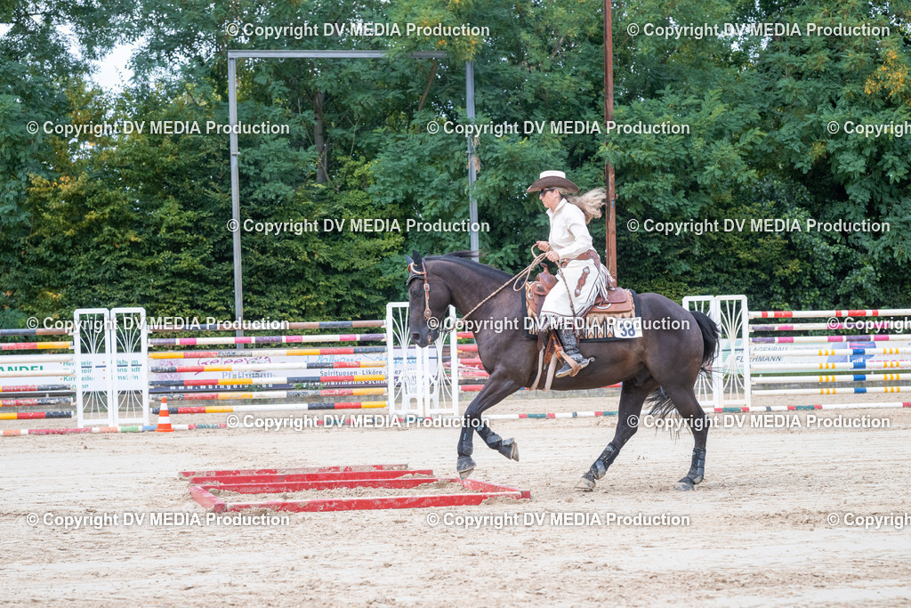 ZS3_5600 | dv-media-shop - Realisiert mit Pictrs.com