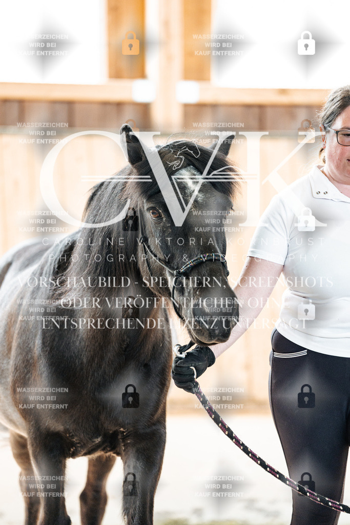 CK906510 | Turnierfotografie Pferdefotografie Trier Rheinland-Pfalz Pferdesport Reitsport Tierfotografie Sportfotografie Pferdevideo Pferdevideografie Equestrianvideography equestrianphotography  - Realized with Pictrs.com