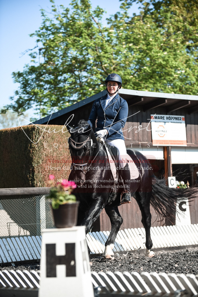 DSC_8504 | Pferde- und Turnierfotografie in Westsachsen. Pferdeportraits, Auftragszeichnungen und intuitive Kunst.