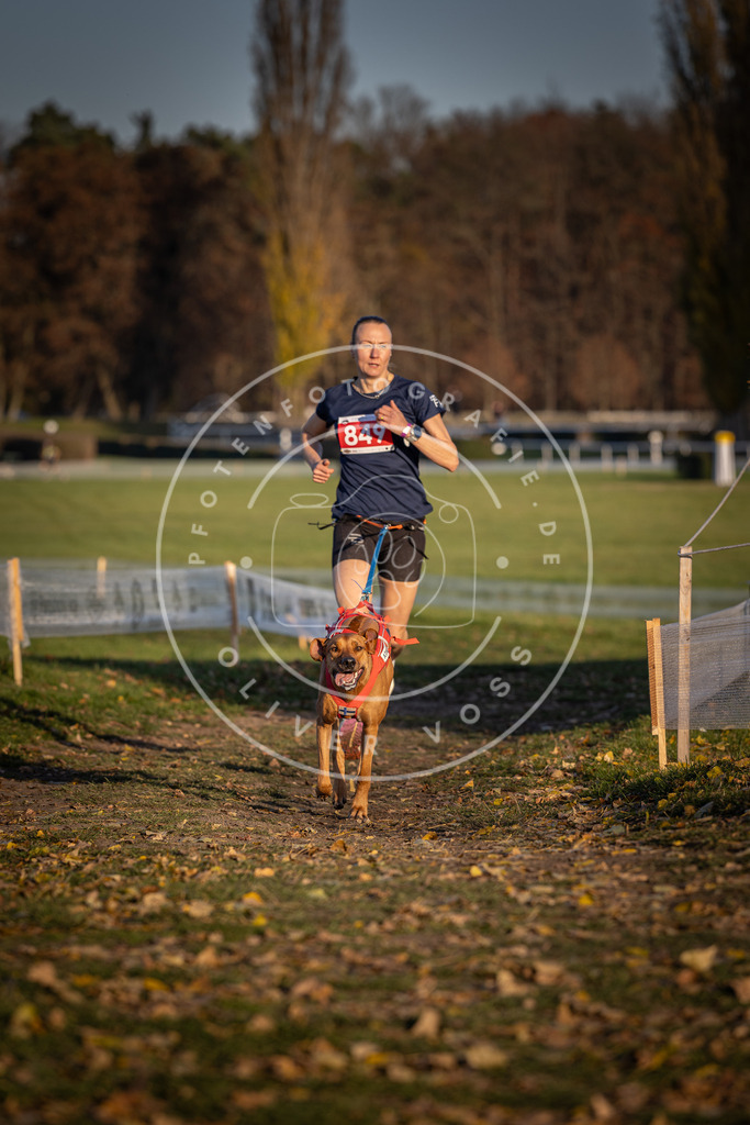 CaniXpix_DV3A3816 | Hundefotografie, Tierfotograf, Pfotenfotografie, Fotoshooting Hund, Hunde Portrait, Hundesport, Hundeportraits, Heideshooting, Hunde, Sportfotograf, Hundefotograf, Turnierhundsport, THS,  - Realisiert mit Pictrs.com