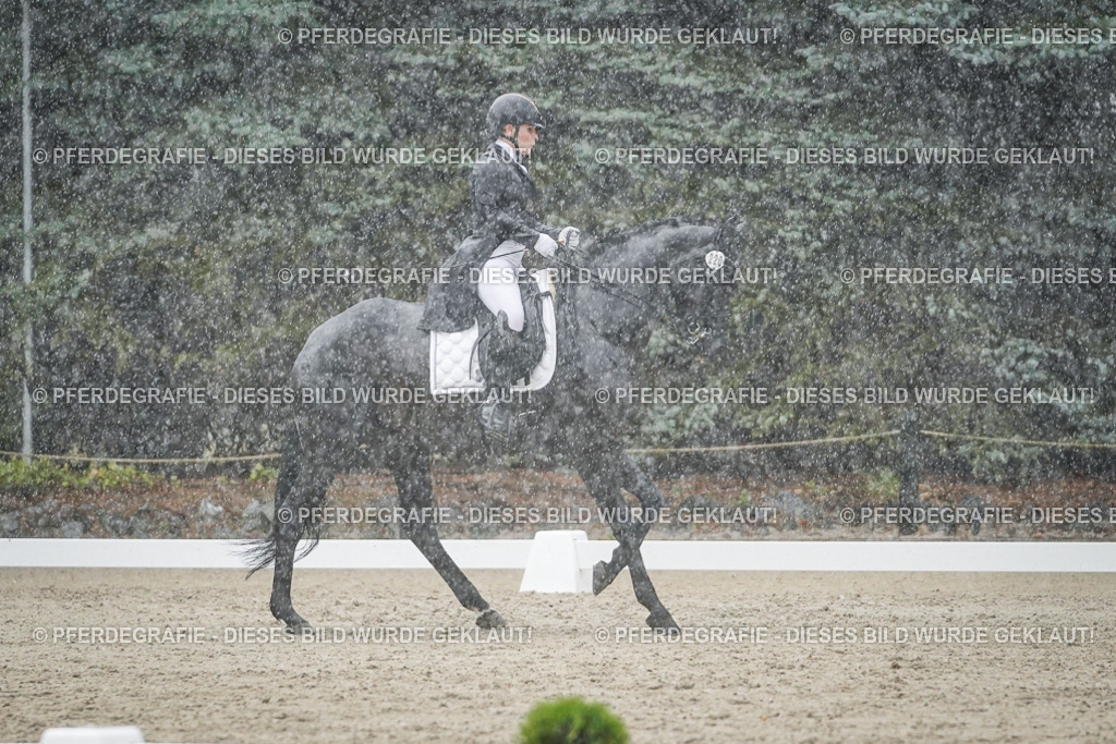 DSC08367 | Pferdegrafie