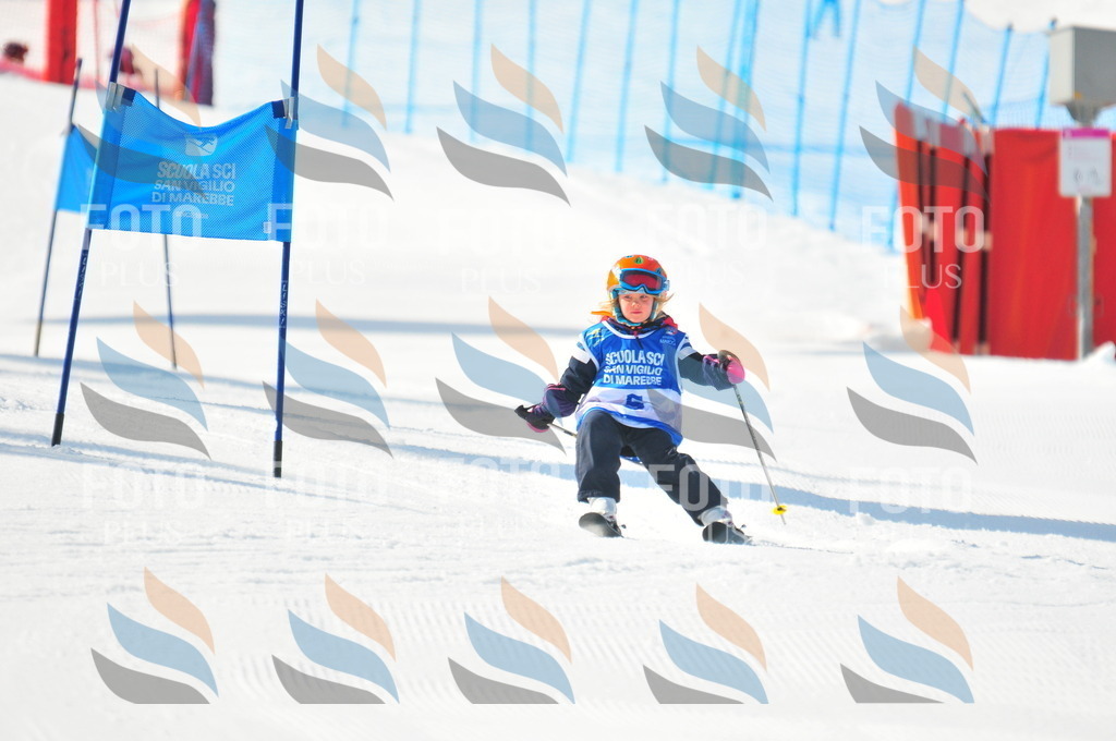 B9113 | holidayphoto