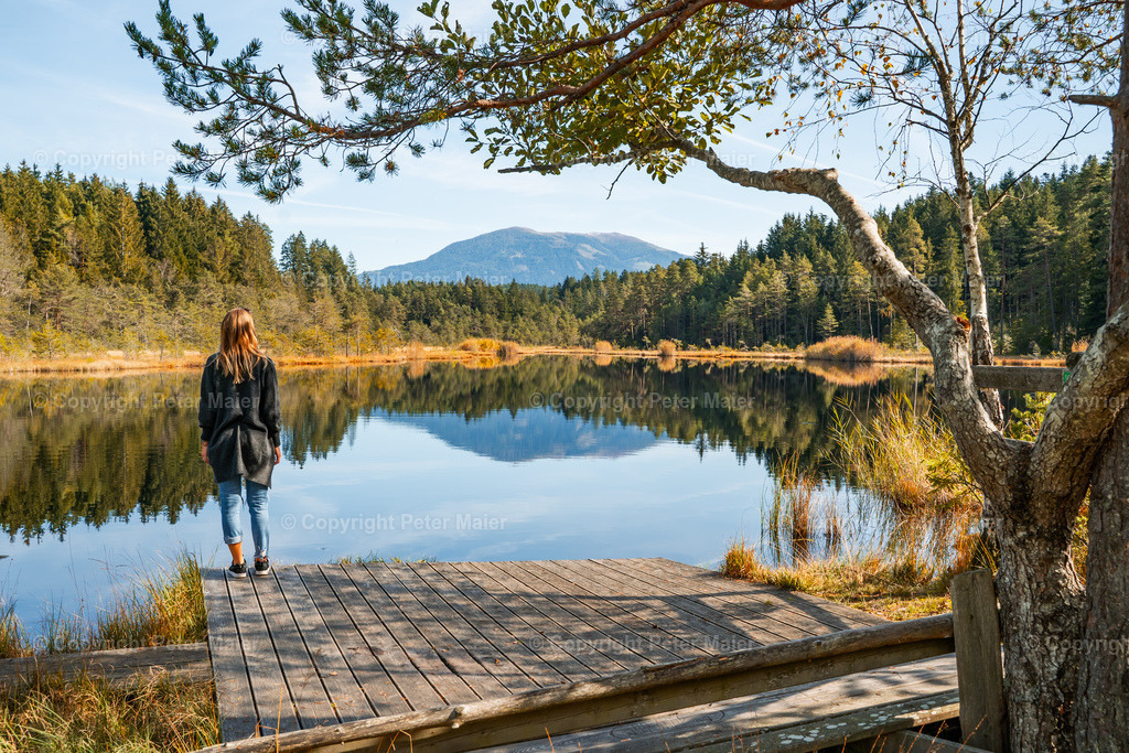 Egelsee_Herbst_2020-11 | piet_flosse