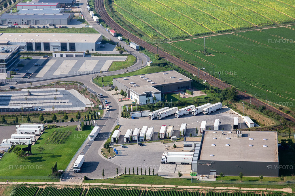 Luftbild: Industriegebiet Im Speyerer Tal mit Markthalle 5 und Resinnovation GmbH in Rülzheim im Bundesland Rheinland-Pfalz in Deutschland. – Foto: IMG_117268.jpg vom 25.08.2019 durch Werner Riehm/FLY-FOTO.de – Auflösung des Originals: 5226 x 3484 px – TOMSLOT88 * Provider – der resinnovation GmbH - Wir sind das Kunstharz