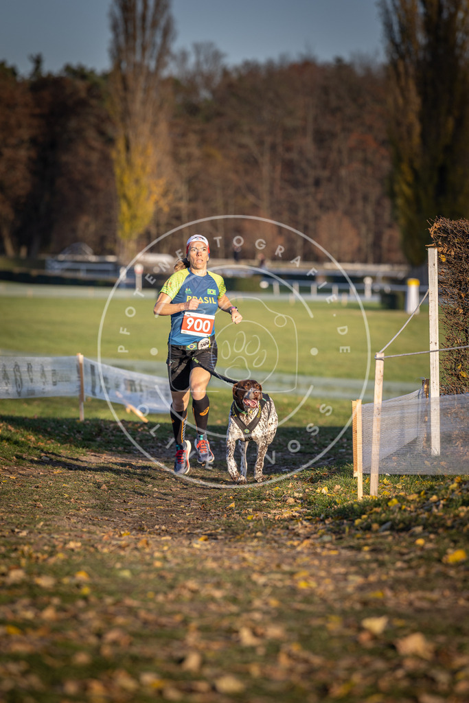 CaniXpix_DV3A3912 | Hundefotografie, Tierfotograf, Pfotenfotografie, Fotoshooting Hund, Hunde Portrait, Hundesport, Hundeportraits, Heideshooting, Hunde, Sportfotograf, Hundefotograf, Turnierhundsport, THS,  - Realisiert mit Pictrs.com