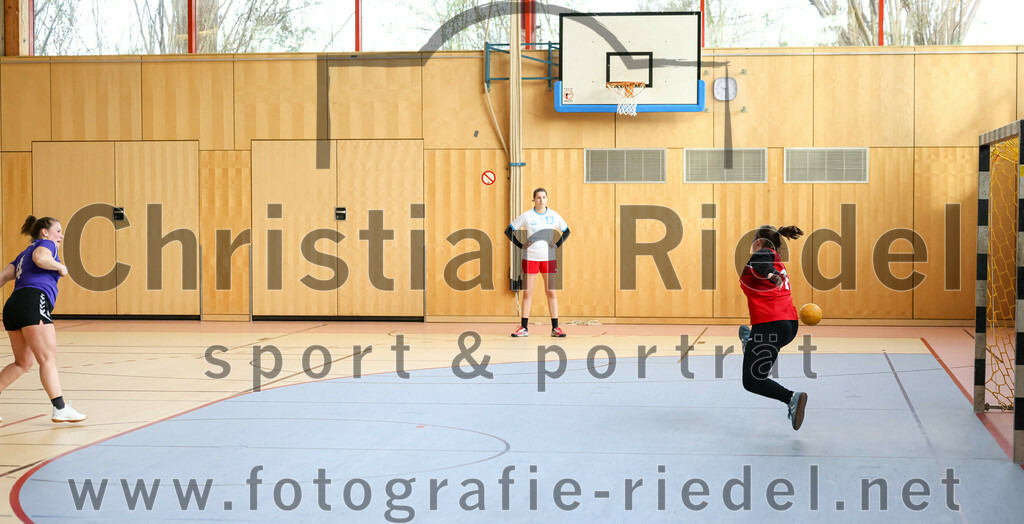 2023-03-18_071_SpVgg_Altenerding_II_gegen_HSG_Freising-Neufahrn_II | Erding, Deutschland, 18.03.2023:
Handball, Bezirksliga Frauen Altbayern 2022 / 2023, 14. Spieltag, SpVgg Altenerding II gegen HSG Freising-Neufahrn II, Endergebnis: 25:27

Miriam Deuschle (SpVgg Altenerding, #4), Nina Wiedemann (HSG Freising-Neufahrn, #13), Torfrau Hanna Knecht (HSG Freising-Neufahrn, #16)

Foto: Christian Riedel / fotografie-riedel.net