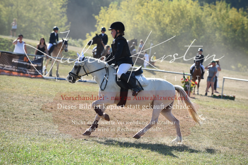 DSC_5910 | Pferde- und Turnierfotografie in Westsachsen. Pferdeportraits, Auftragszeichnungen und intuitive Kunst.