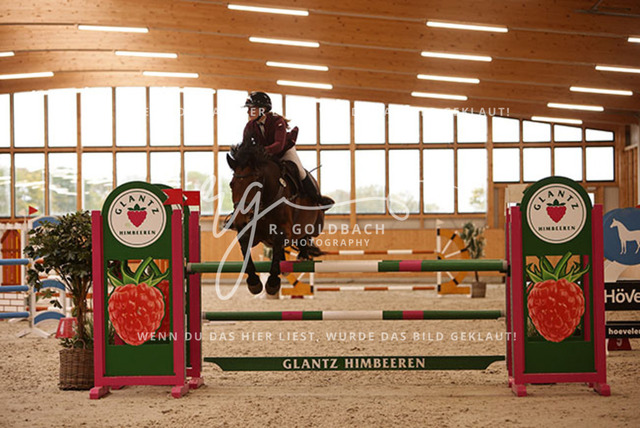 1J2A9752Juliane Weihs_ Hell Boy van de Zuuthoeve Z_ Kn278_ Glantz_ Hohen Wieschendorf | Foto- und Videografie für alles rund ums Pferd. Hochwertige Bilder und Videos vom Spring- und Dressurreiten, Voltigieren & mehr. Jetzt aktuelle Veranstaltungen und Preise im Shop ansehen. - Realisiert mit Pictrs.com