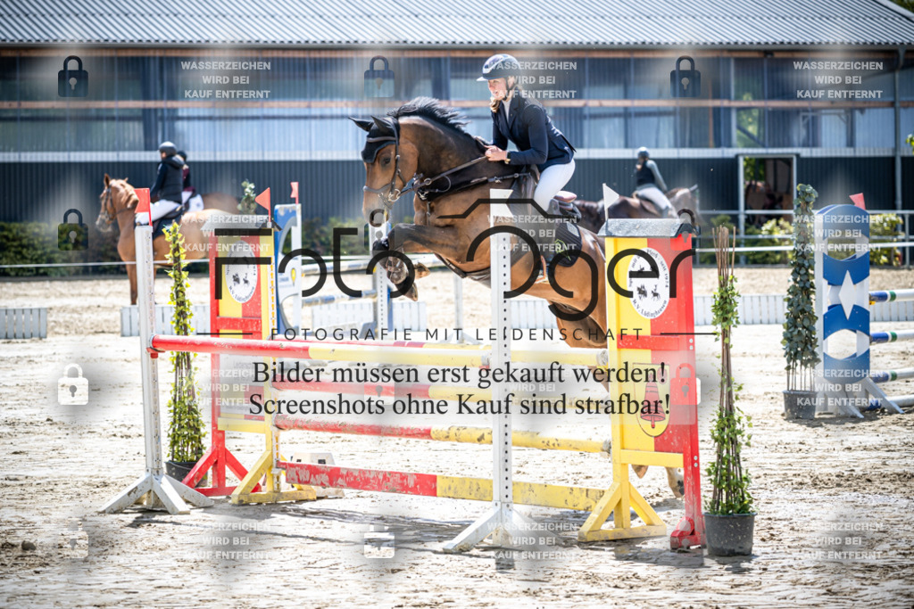 DOS_1258 | Reitturnier Lüdinghausen - Realisiert mit Pictrs.com