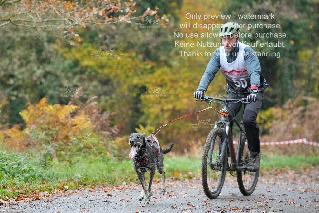 Bike_So-25 | stephaniefillaphotographie - Realisiert mit Pictrs.com