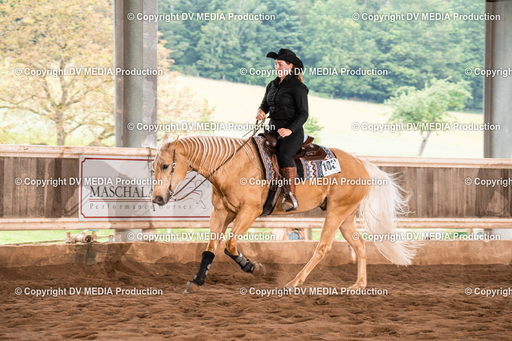 Erbach Tag 4-719 | dv-media-shop - Realisiert mit Pictrs.com