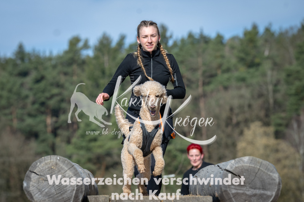 0935_ZZ94271 | kk-dogfotos