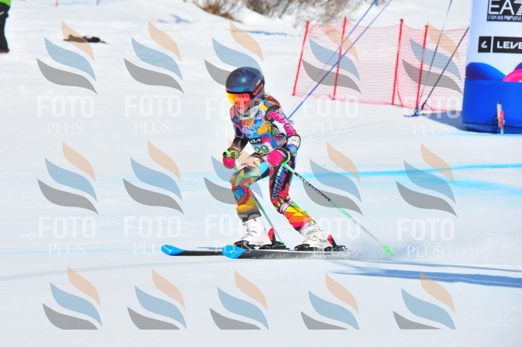 DSC_1029 | holidayphoto