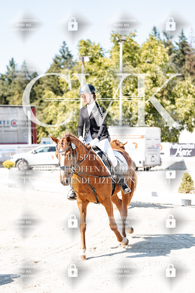 CK902221 | Turnierfotografie Pferdefotografie Trier Rheinland-Pfalz Pferdesport Reitsport Tierfotografie Sportfotografie Pferdevideo Pferdevideografie Equestrianvideography equestrianphotography  - Realisiert mit Pictrs.com