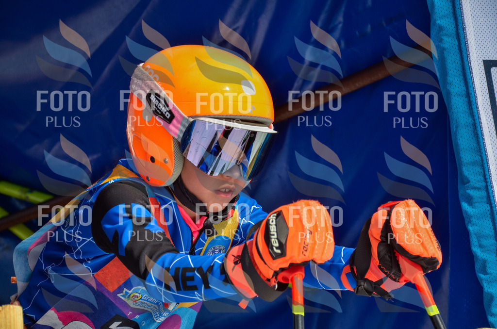 _ELE5092 | holidayphoto