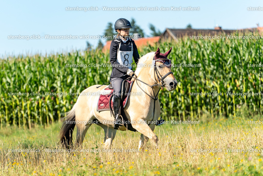 2026-08-08_08-58-58_WBO_Pulsnitz | sternberg.click - Realisiert mit Pictrs.com
