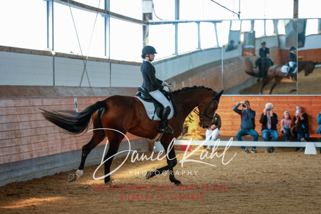 _62_7668 | Turniersportfotografie; Pferdefotografie; Dressurfotografie