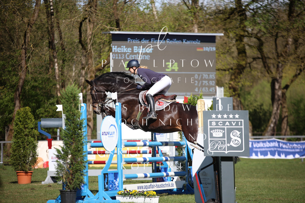 IMGT0339 | pl-fotografie