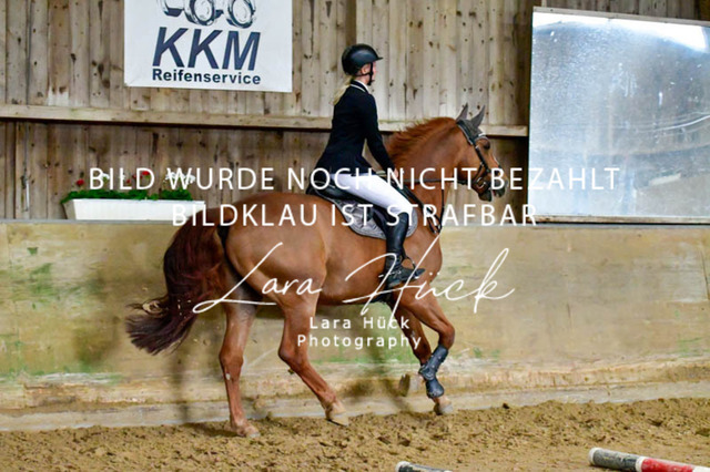 _DSC7459 | larahueckfotografie