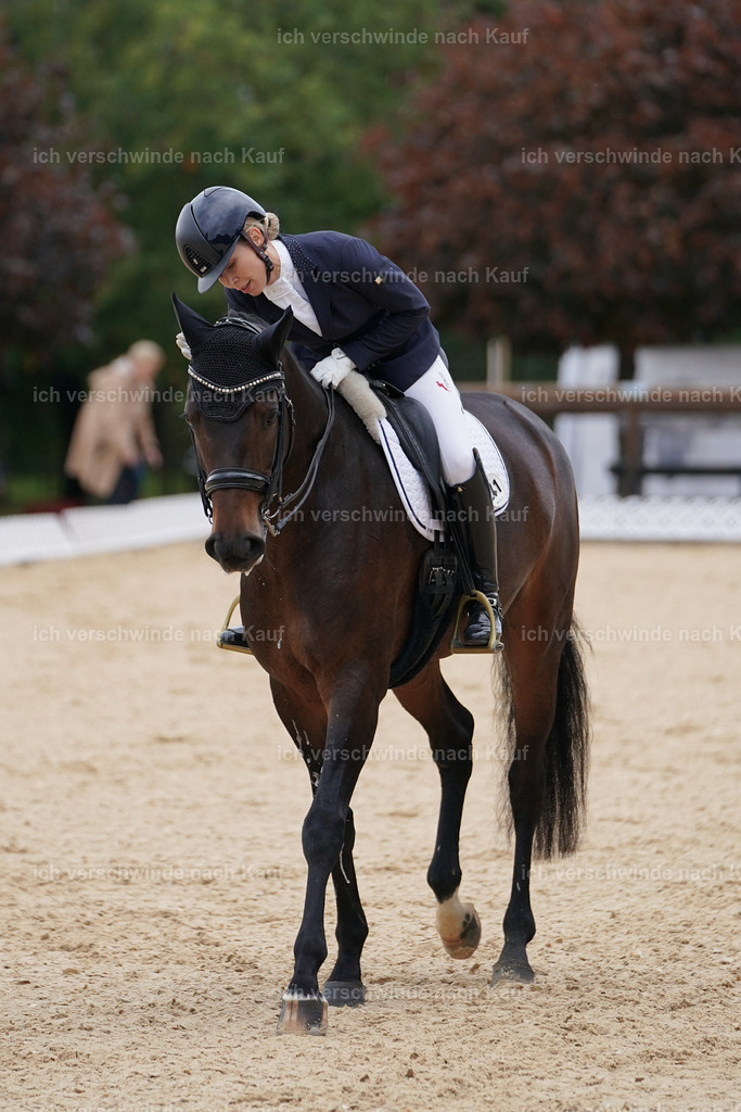 3-241-Dressur M_-Marixx-2201 | working equitationturnier fotograf videograf stoibphotography marixx film working equitation deutschland reitsport turnierfotografie eventfotografie equestrian events