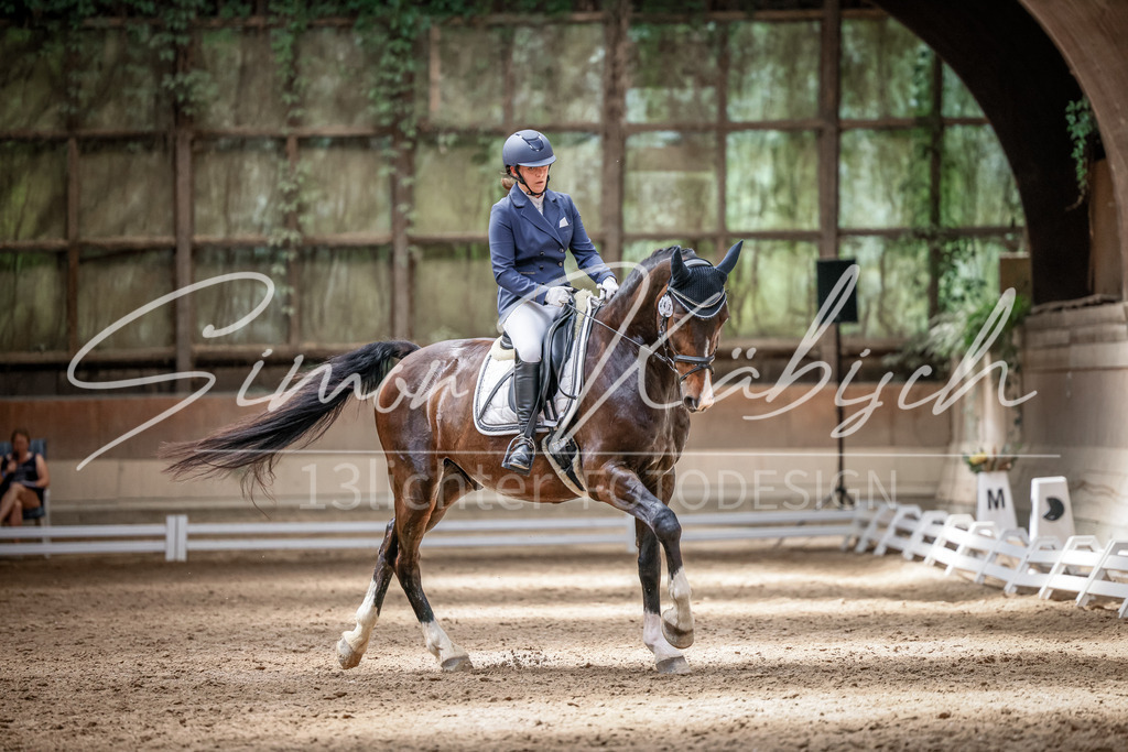 20250622-_3LI2333 | Tierfotografie Pferde, Hunde, Katzen, Haustiere.
Turnierfotografie Reitturniere, Reiten, Springreiten, Dressur in Hanau, dem Main-Kinzig-Kreis und dem Rhein-Main- Gebiet um Frankfurt