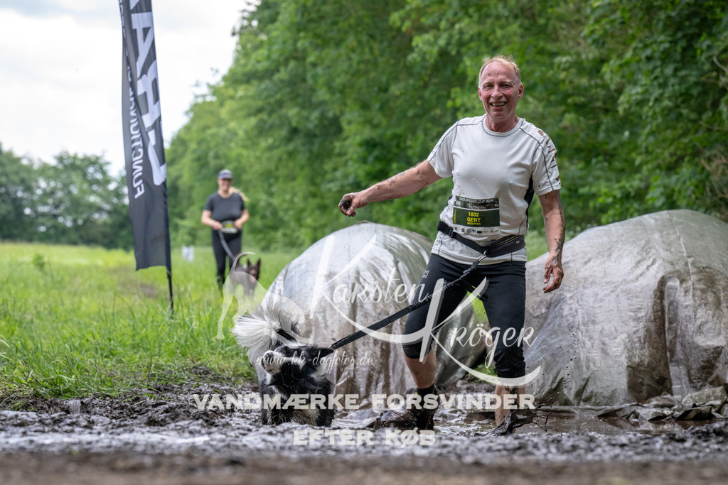 1254_ZZ94187 | kk-dogfotos