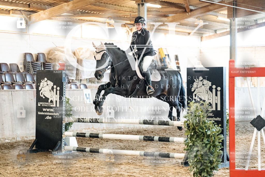 CK904501 | Turnierfotografie Pferdefotografie Trier Rheinland-Pfalz Pferdesport Reitsport Tierfotografie Sportfotografie Pferdevideo Pferdevideografie Equestrianvideography equestrianphotography  - Realisiert mit Pictrs.com