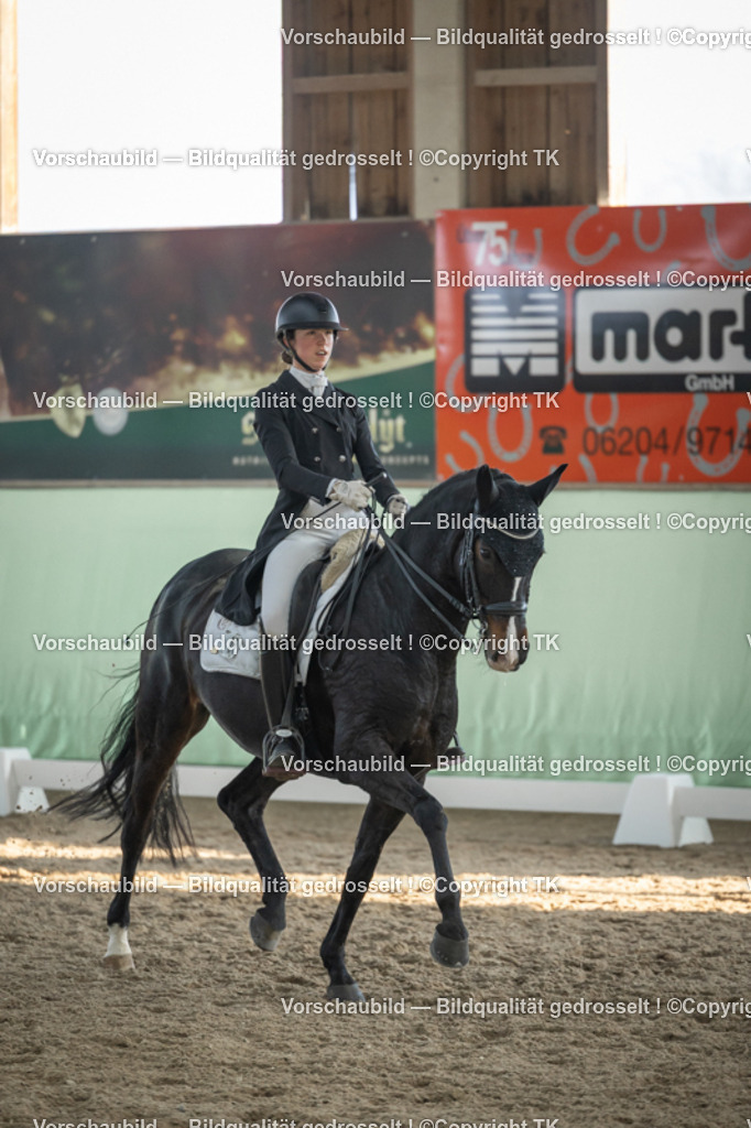 _D5A0655 | Emotionale Pferde- & People-Fotografie rund um Heidelberg, Leimen & Umgebung. Natürliche Fotos von Pferd, Mensch & Familie. Jetzt Termin sichern!