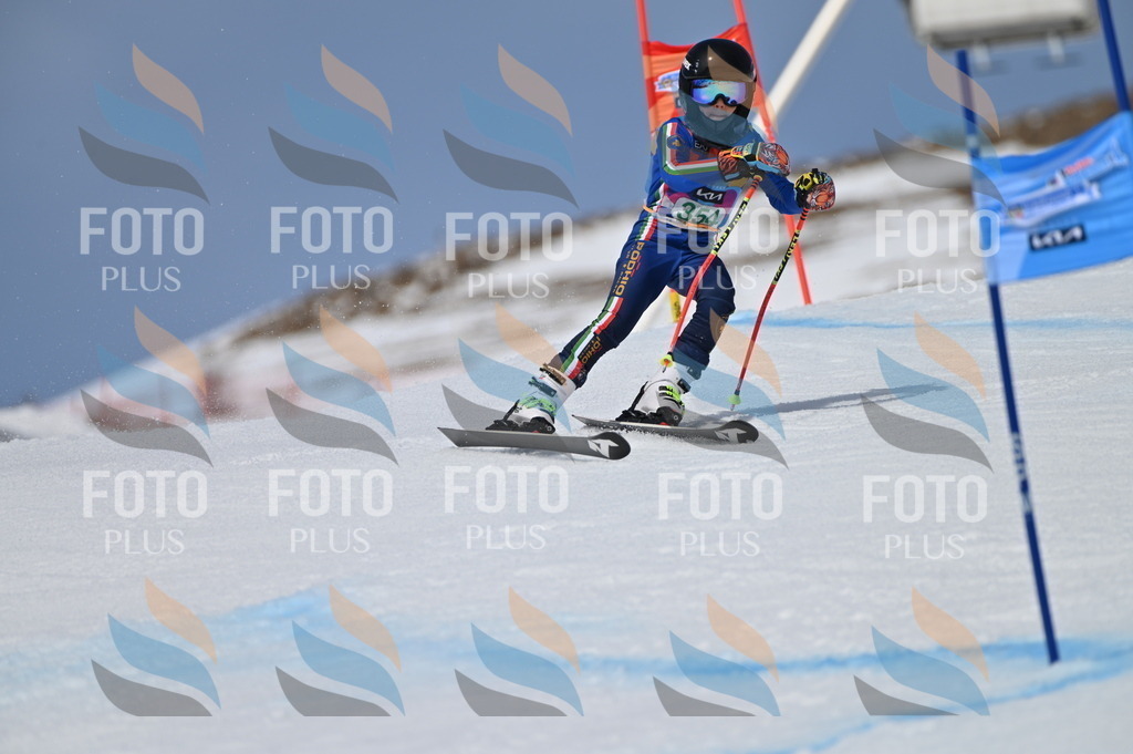 BGV_6977 | holidayphoto