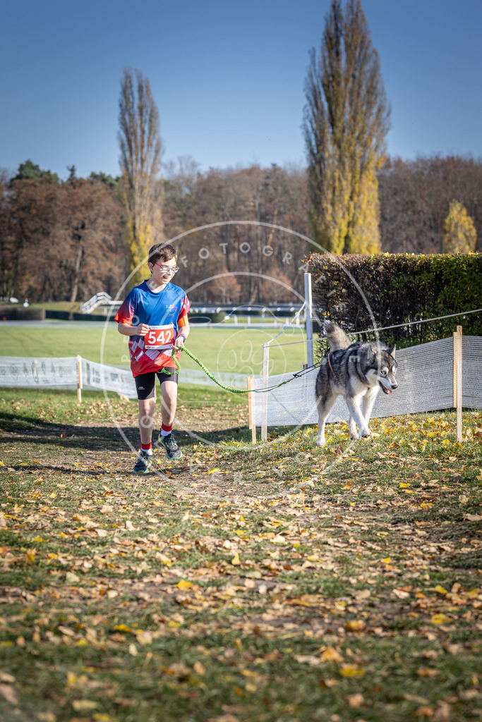 CaniXpix_DV3A8380 | Hundefotografie, Tierfotograf, Pfotenfotografie, Fotoshooting Hund, Hunde Portrait, Hundesport, Hundeportraits, Heideshooting, Hunde, Sportfotograf, Hundefotograf, Turnierhundsport, THS,  - Realisiert mit Pictrs.com