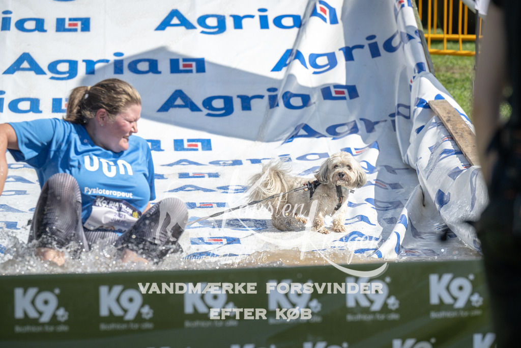 1130_ZZ92405 | kk-dogfotos