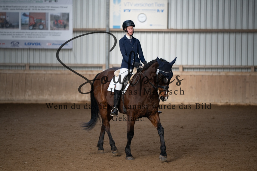 A7V05463 | Pferdefotograf