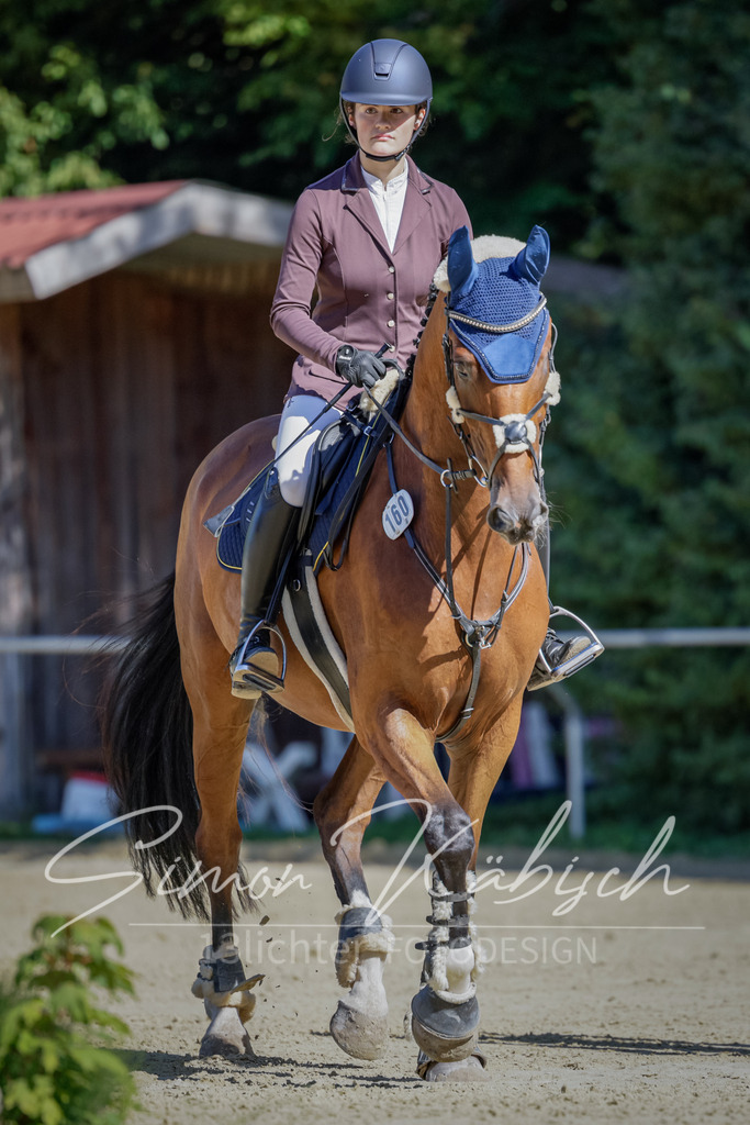 20250906-_3LI3791 | Tierfotografie Pferde, Hunde, Katzen, Haustiere.
Turnierfotografie Reitturniere, Reiten, Springreiten, Dressur in Hanau, dem Main-Kinzig-Kreis und dem Rhein-Main- Gebiet um Frankfurt