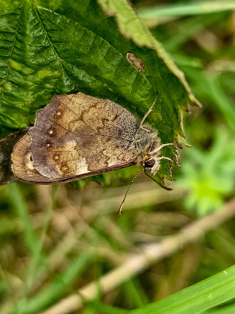 PSX_20230831_214038 | mtkfoto_ - Realisiert mit Pictrs.com