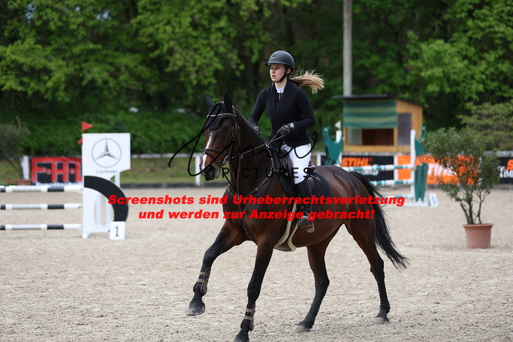 A40A2222 | lmwpictures - Realisiert mit Pictrs.com