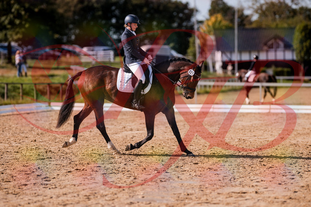 2026_10_03_Siefer-Hof_125750_Z81_46796820 | Professionelle Reitsport-, Turnier- und Eventfotografie von Robert Broda. Galerien mit ausgewählten und bearbeiteten Bildern direkt online ansehen und bestellen.