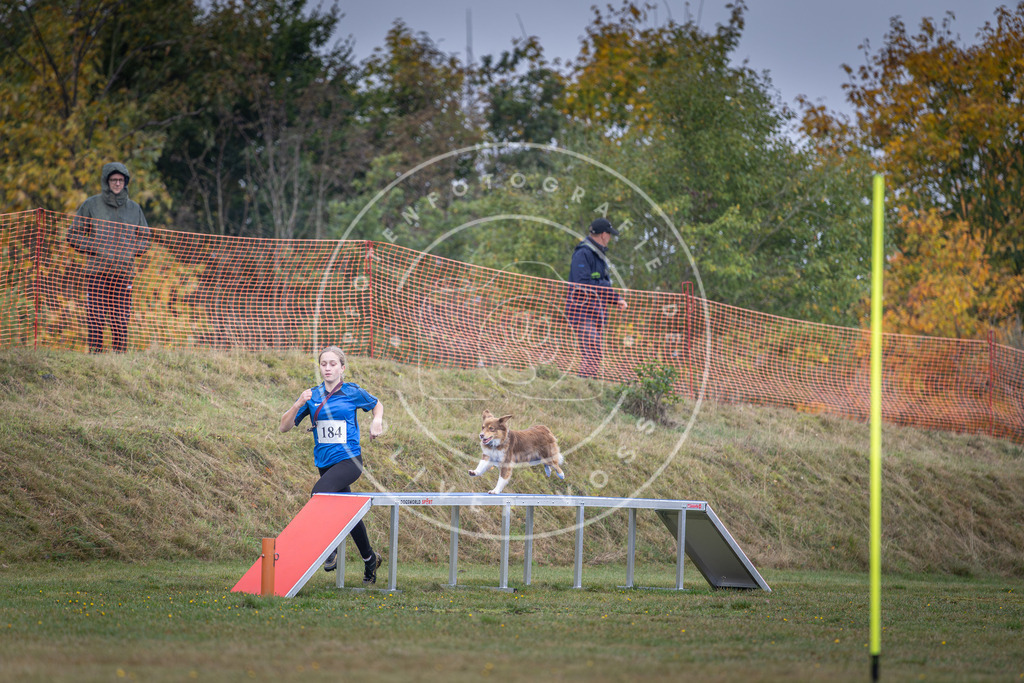 Pfotenfotografie_DV3A0395 | Hundefotografie, Tierfotograf, Pfotenfotografie, Fotoshooting Hund, Hunde Portrait, Hundesport, Hundeportraits, Heideshooting, Hunde, Sportfotograf, Hundefotograf, Turnierhundsport, THS,  - Realisiert mit Pictrs.com