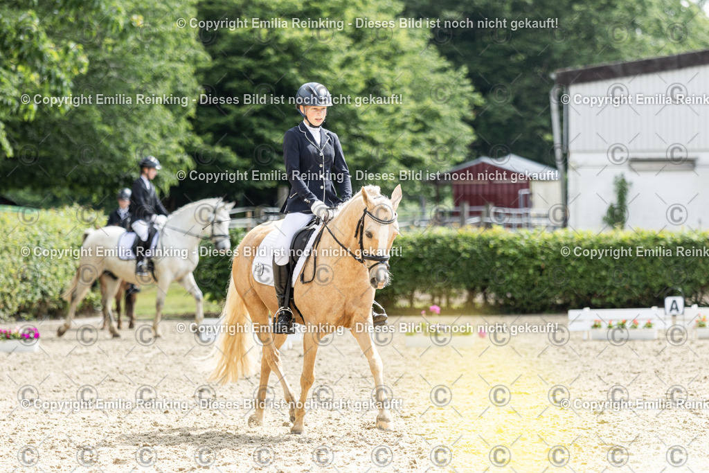 CL5A6464 | Emilia Reinking Fotografie - Realisiert mit Pictrs.com