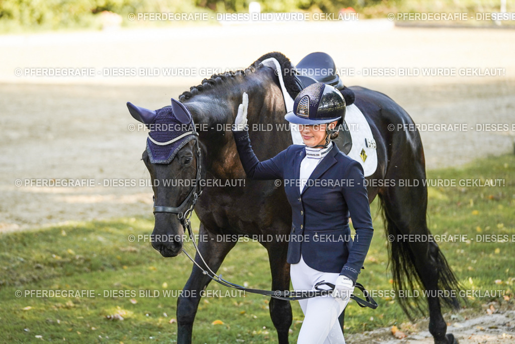 DSC06630 | Pferdegrafie