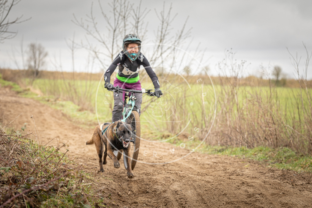 DV3A0870 | Hundefotografie, Tierfotograf, Pfotenfotografie, Fotoshooting Hund, Hunde Portrait, Hundesport, Hundeportraits, Heideshooting, Hunde, Sportfotograf, Hundefotograf, Turnierhundsport, THS,  - Realisiert mit Pictrs.com