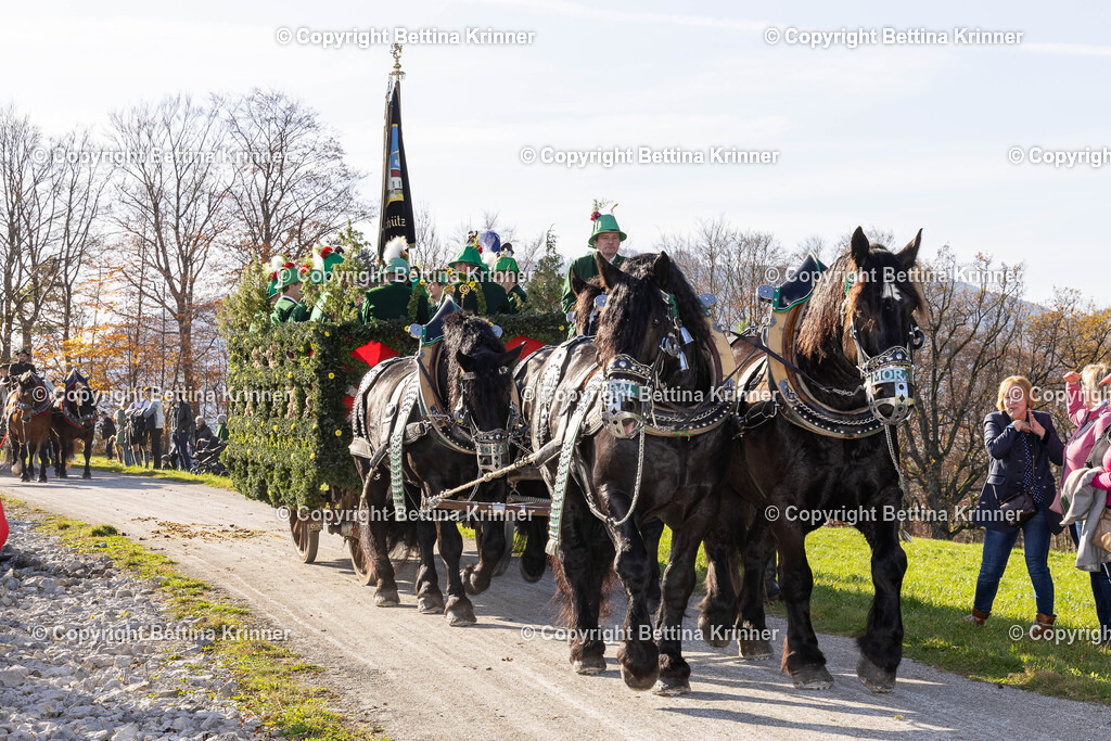 LBT24-1381 | foto-bettina-krinner - Realisiert mit Pictrs.com